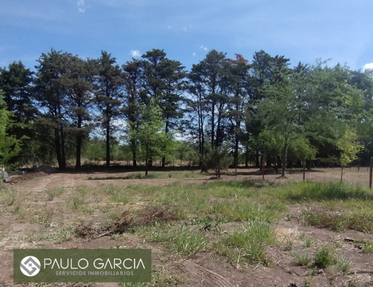LOTE EN LOS REARTES - BARRIO BRISA DE TOTORALEJOS