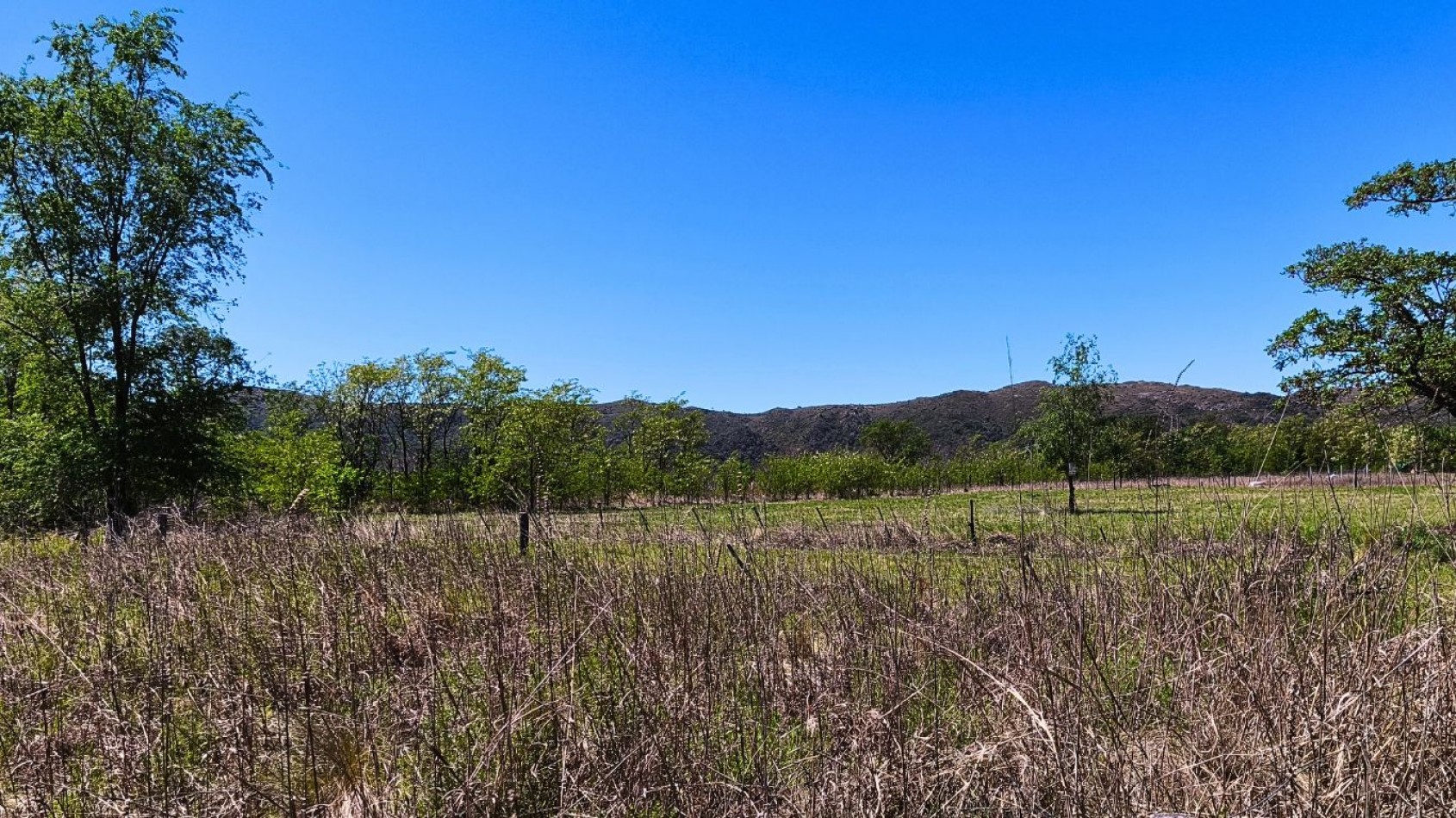 LOTE EN VENTA - SOLAR DE LOS MOLINOS