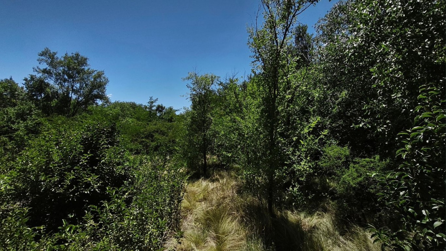 Lote en venta en Villa Ciudad Parque - 525 m² con escritura