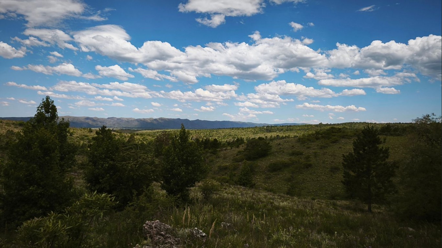 VENTA DE CAMPO DE 7 HECTAREAS CON 2 CABAÑAS DE TRONCOS EN LOS REARTES