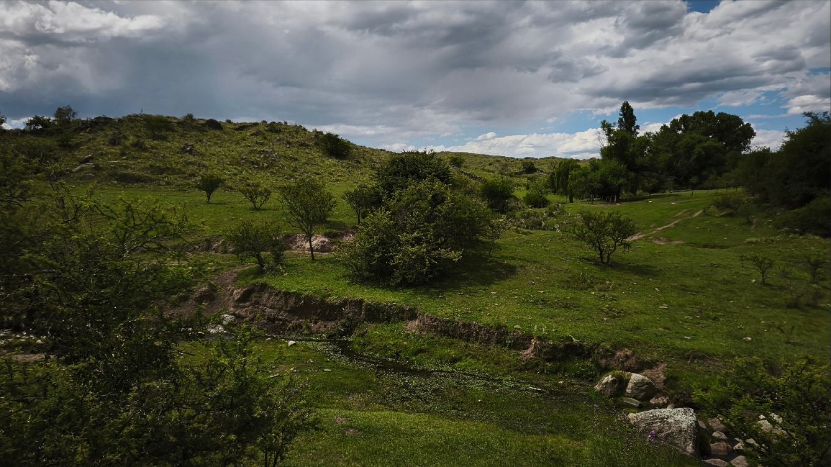 VENTA DE CAMPO DE 7 HECTAREAS CON 2 CABAÑAS DE TRONCOS EN LOS REARTES