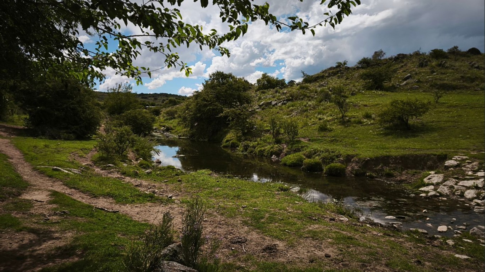 VENTA DE CAMPO DE 7 HECTAREAS CON 2 CABAÑAS DE TRONCOS EN LOS REARTES