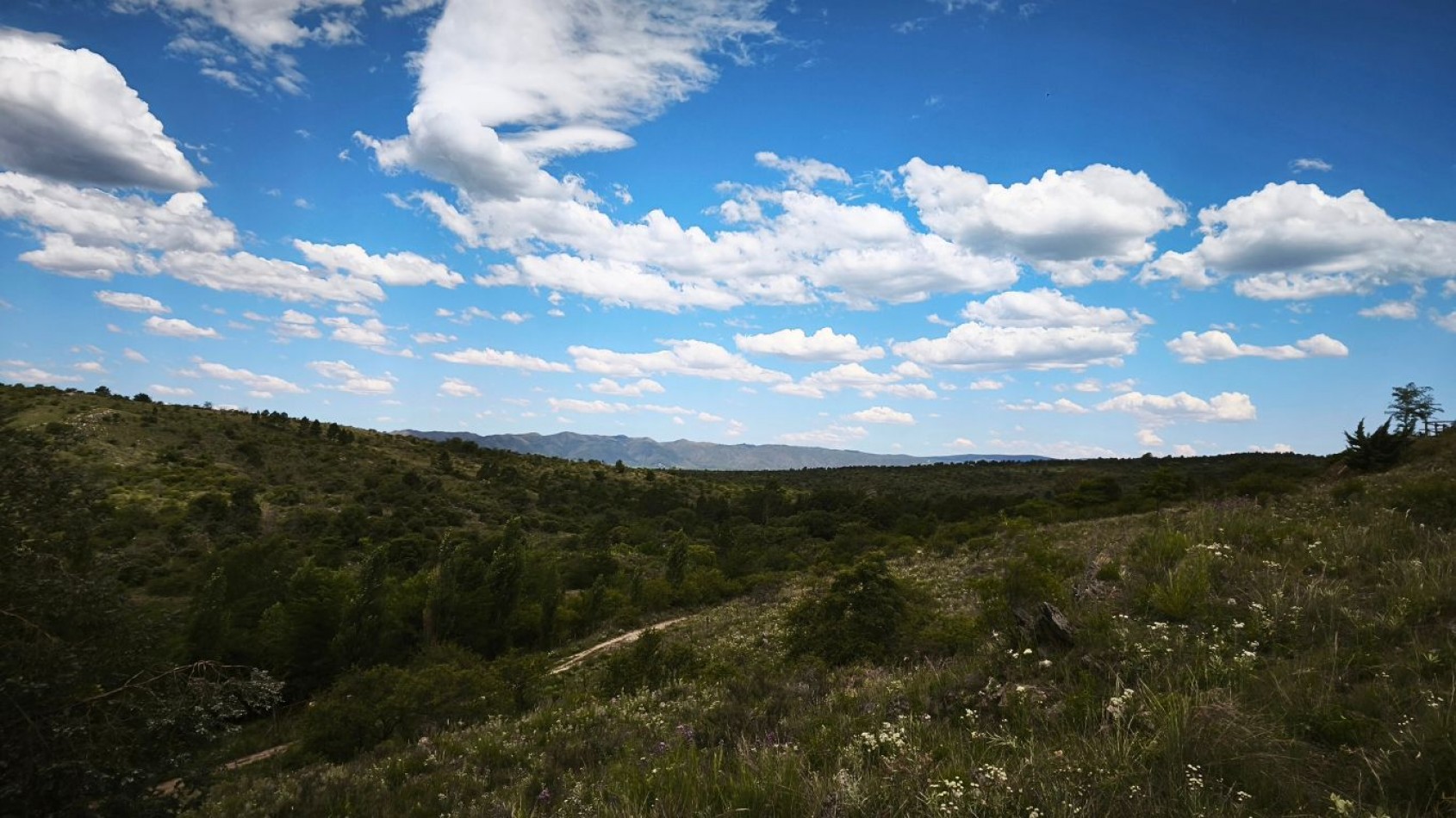 VENTA DE CAMPO DE 7 HECTAREAS CON 2 CABAÑAS DE TRONCOS EN LOS REARTES
