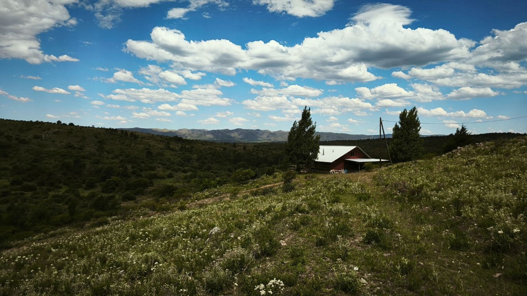 VENTA DE CAMPO DE 7 HECTAREAS CON 2 CABAÑAS DE TRONCOS EN LOS REARTES