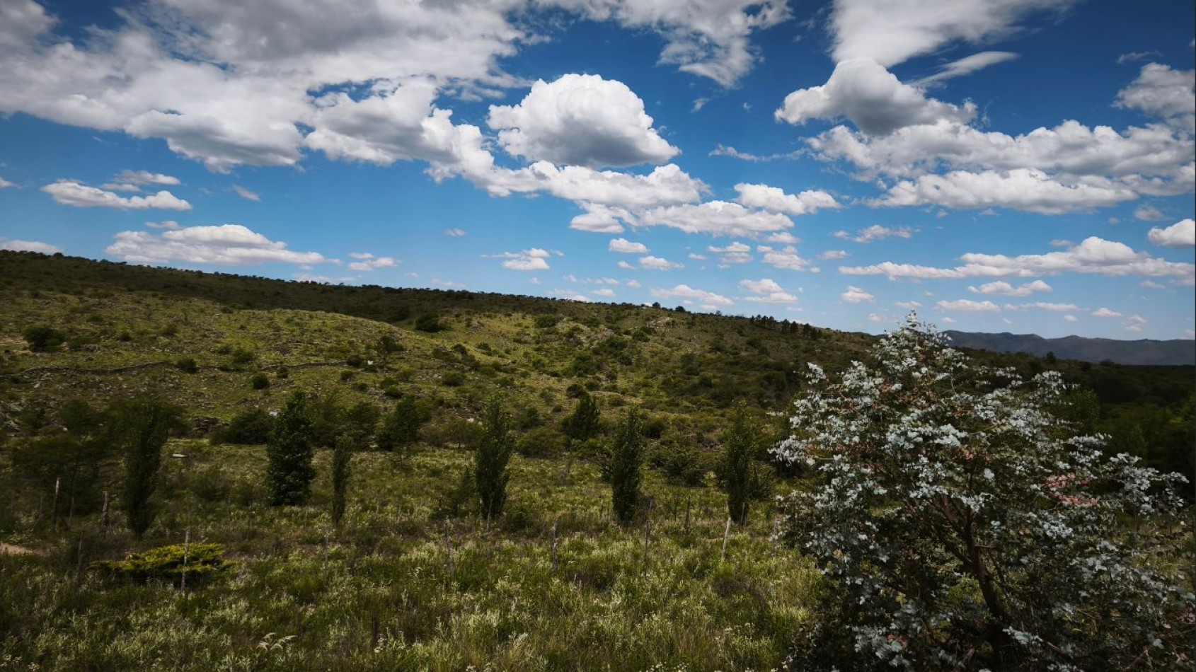 VENTA DE CAMPO DE 7 HECTAREAS CON 2 CABAÑAS DE TRONCOS EN LOS REARTES