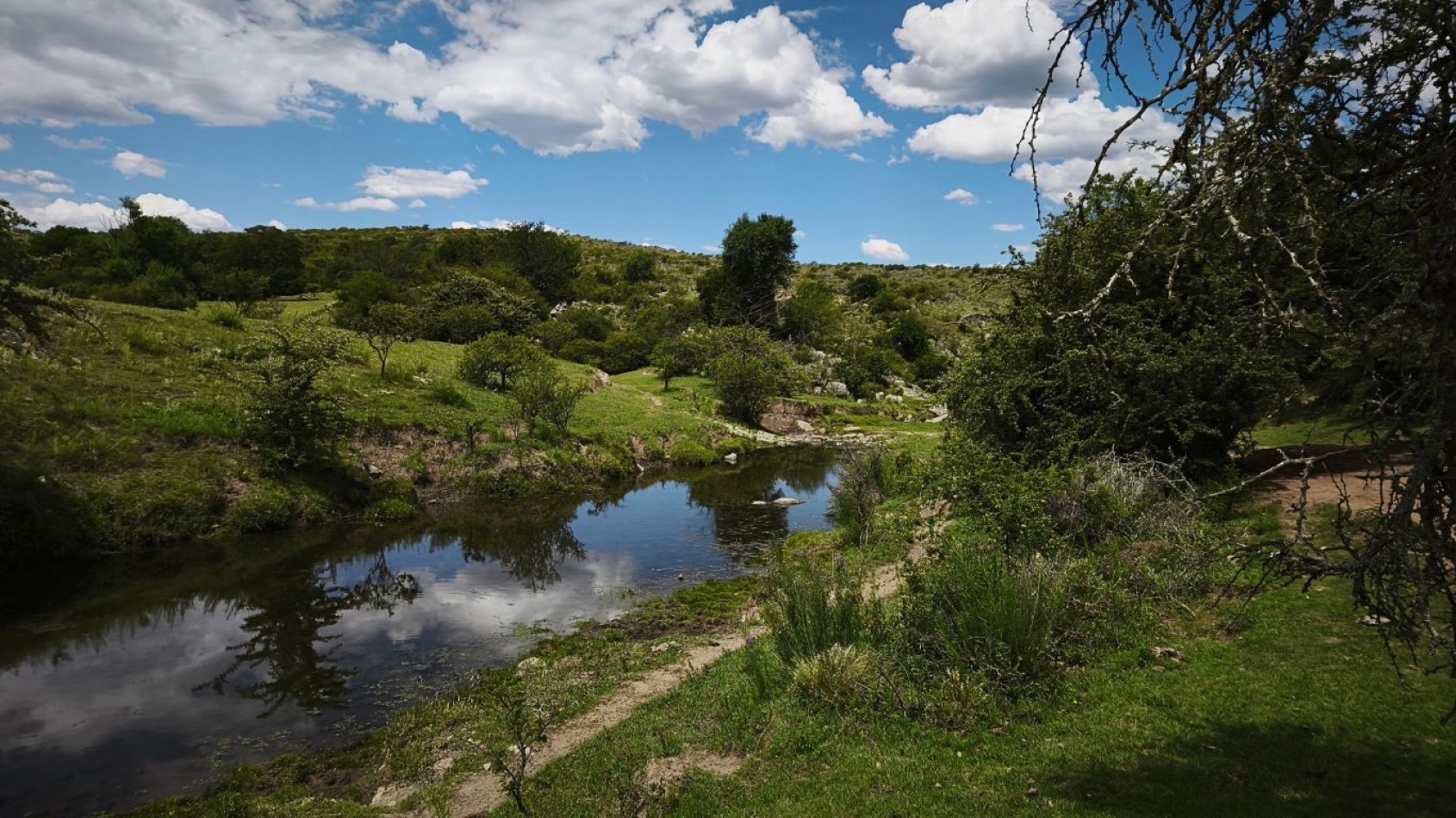 VENTA DE CAMPO DE 7 HECTAREAS CON 2 CABAÑAS DE TRONCOS EN LOS REARTES