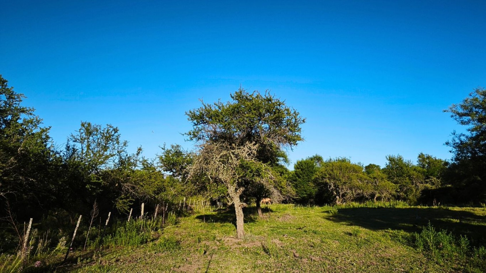 Venta de Lotes en Villa General Belgrano - Excelente Ubicacion, Entorno y Vista a las Sierras