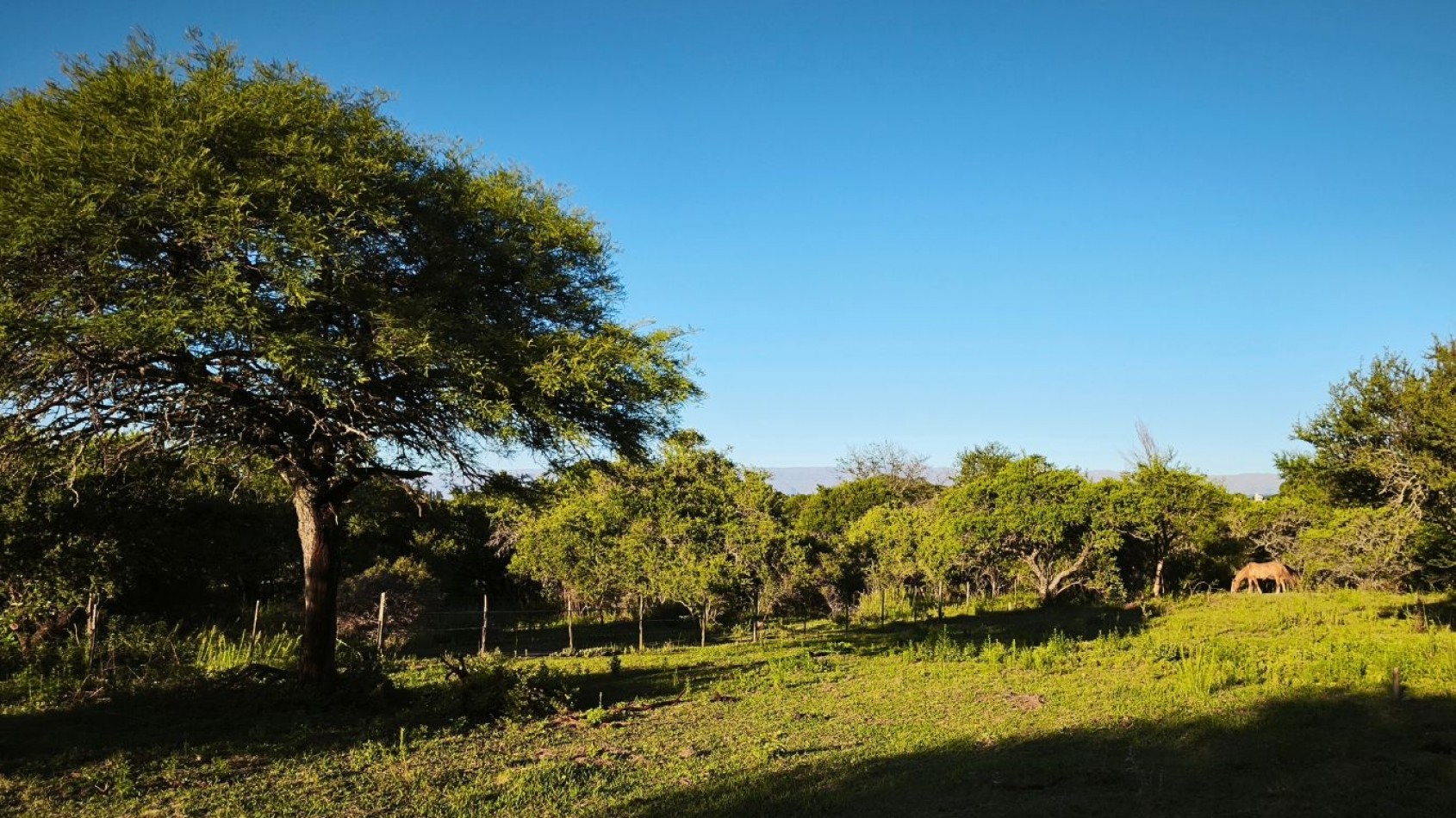 Venta de Lotes en Villa General Belgrano - Excelente Ubicacion, Entorno y Vista a las Sierras