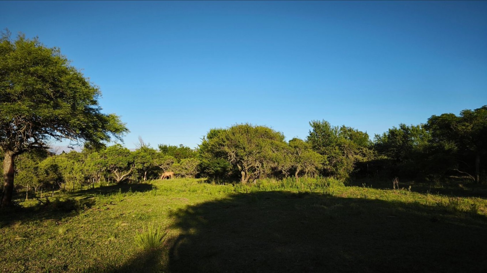 Venta de Lotes en Villa General Belgrano - Excelente Ubicacion, Entorno y Vista a las Sierras