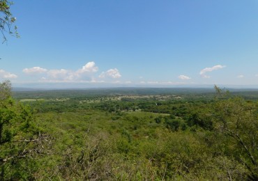 FRACCION DE 10 HA EN RESERVA NATURAL 