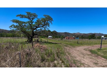 LOTE EN VENTA - SOLAR DE LOS MOLINOS